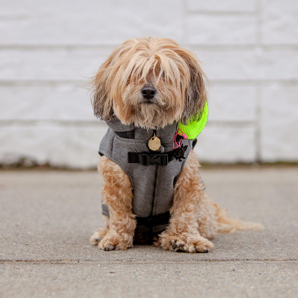 MORIKUKKO | Hoodie Backpack Vest in Grey and Neon Coats & Jackets MORIKUKKO   