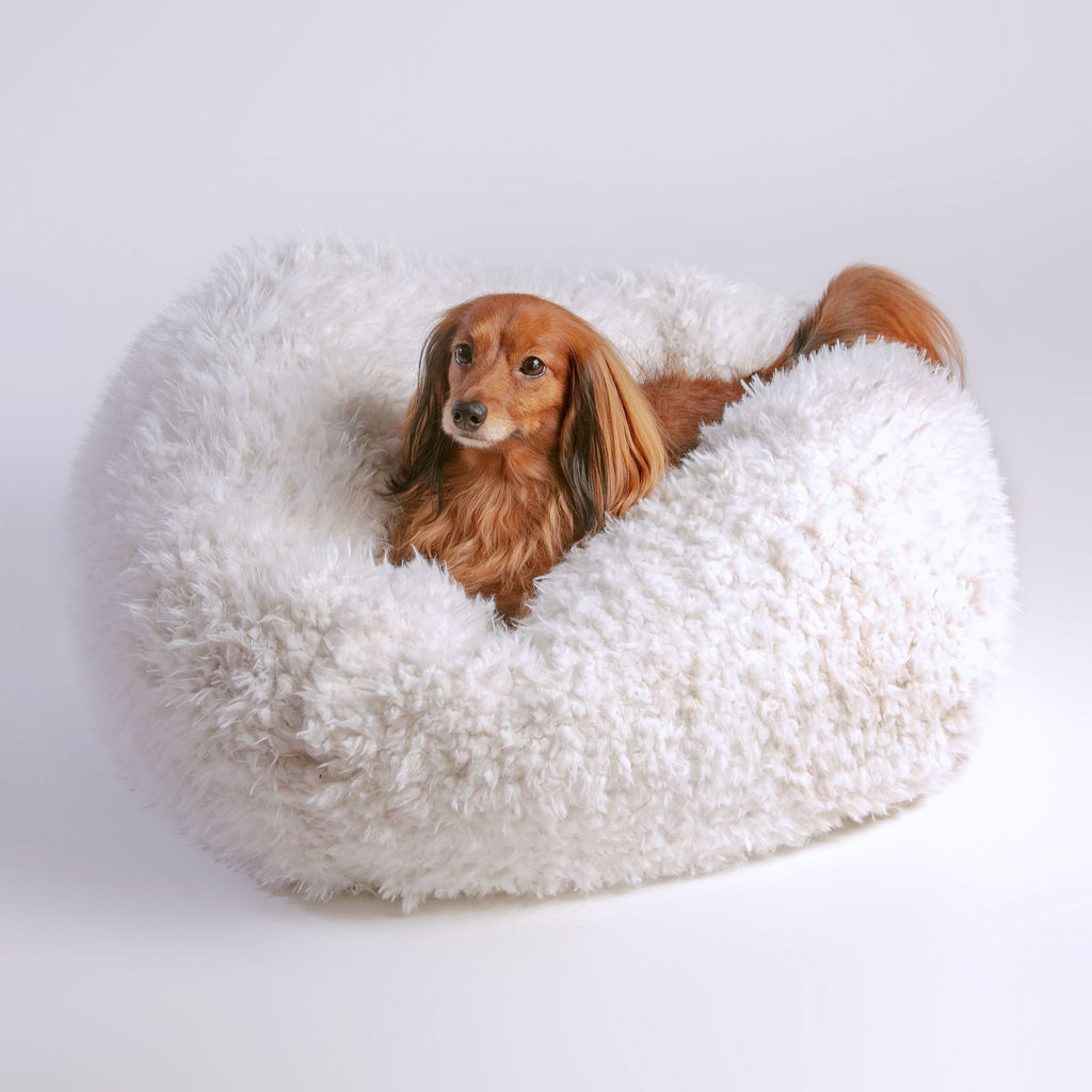 Unique Dog Pet Beds  Olive Smith - Floral Doddle lV - DiaNoche Designs
