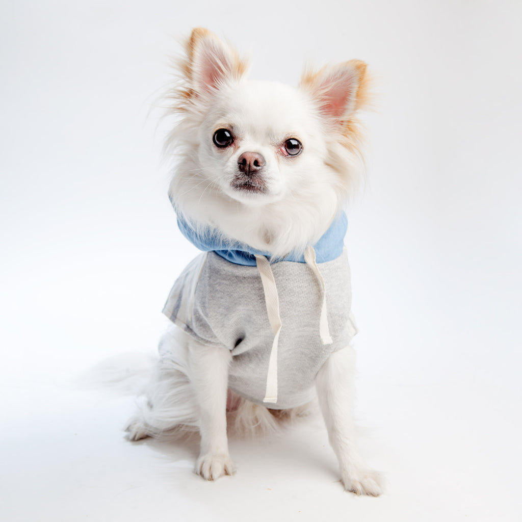 OH POP DOG | Grey Stripe Hoodie Apparel OH POP DOG   