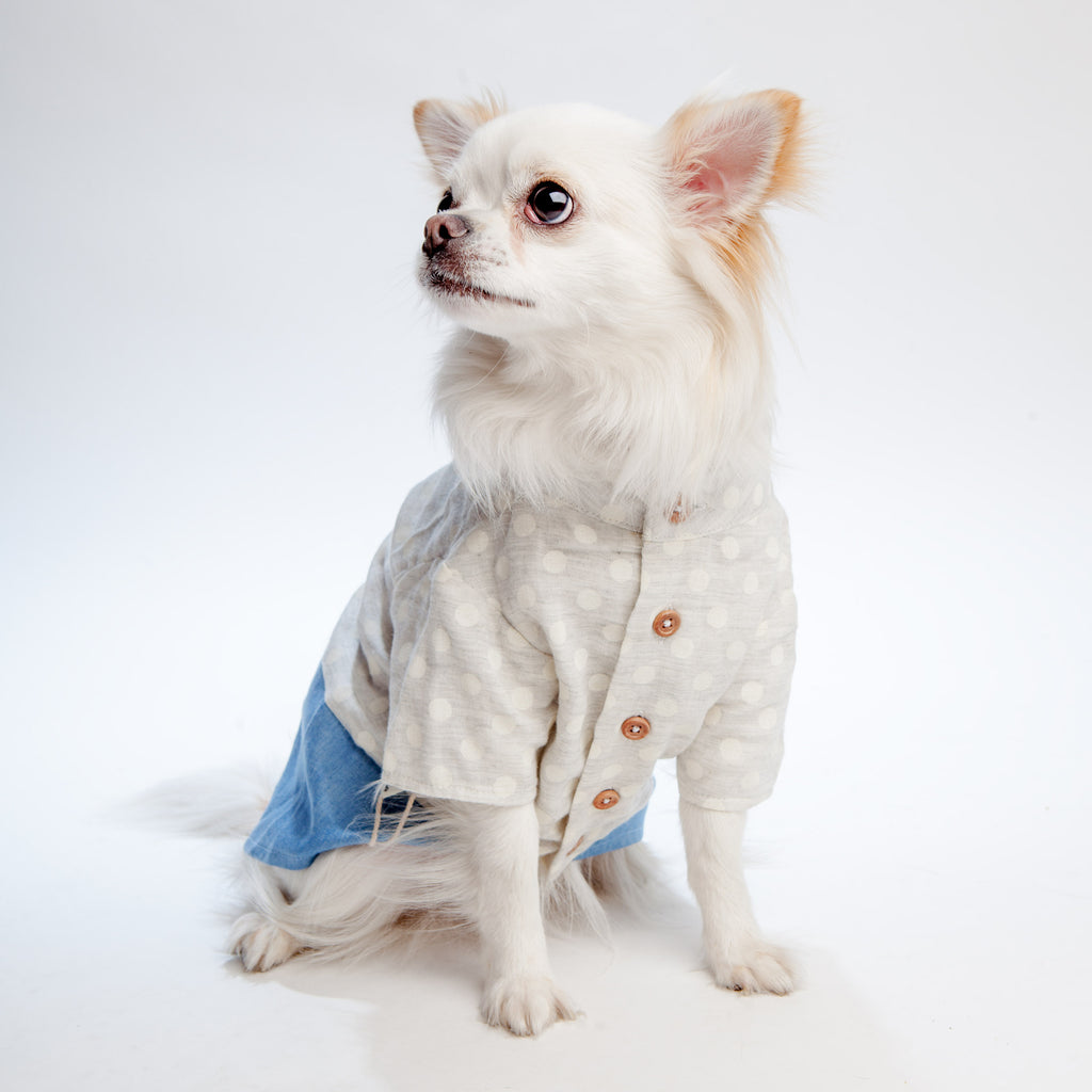 OH POP DOG | Polka Dot Denim Shirt Apparel OH POP DOG   