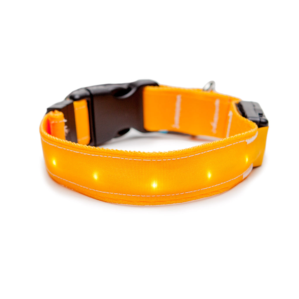 ORION COLLARS | LED Dog Collar in Goldenrod Collar Orion Collars   