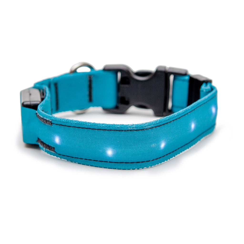 ORION COLLARS | LED Dog Collar in Teal Collar Orion Collars   