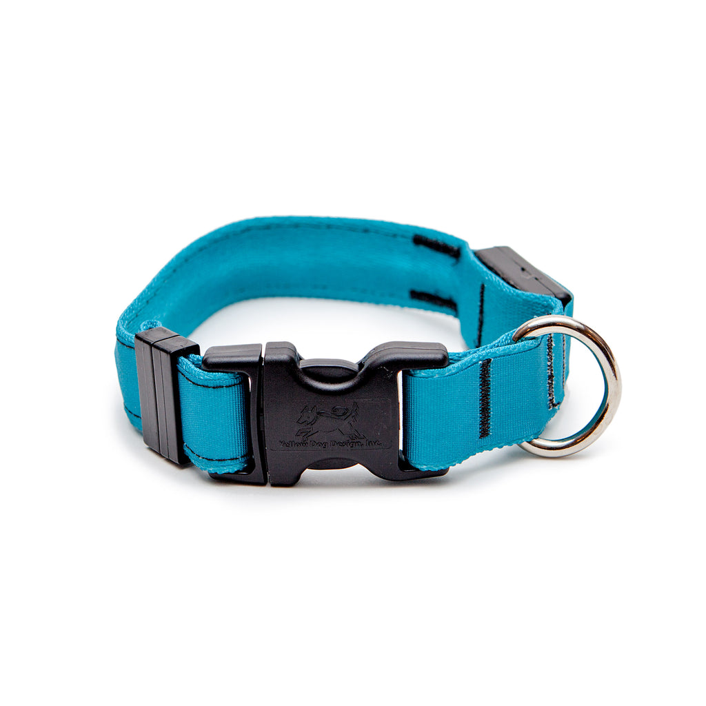ORION COLLARS | LED Dog Collar in Teal Collar Orion Collars   