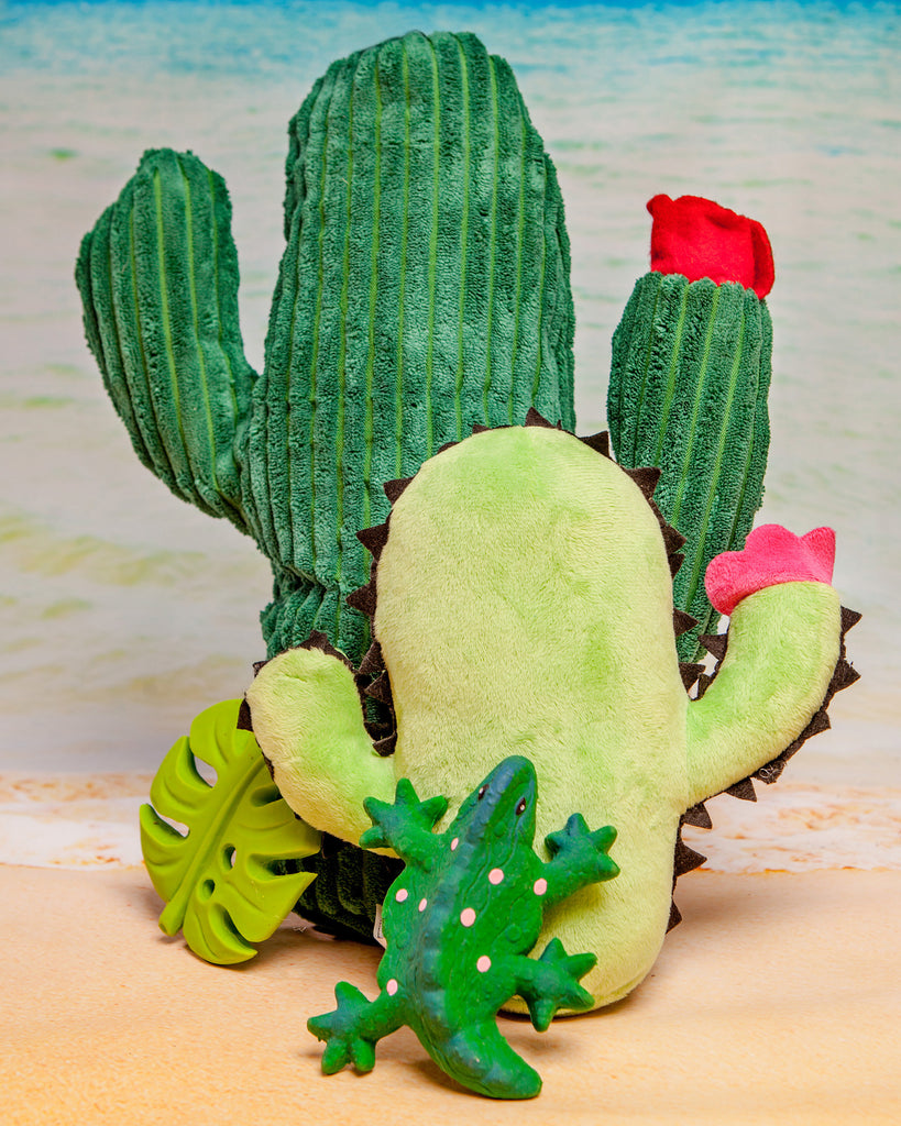 Cactus Plush Toy (FINAL SALE) Play PET LOU   