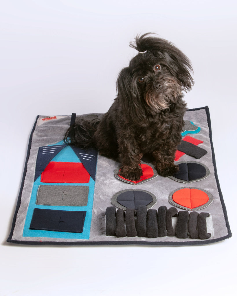 Puptropolis Dog Activity Nosework Mat Play PUPPIA   