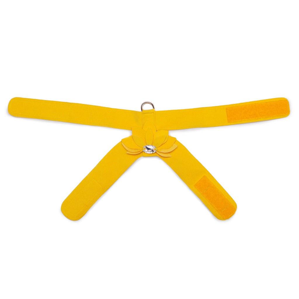SUSAN LANCI | Water Lily Swarovski Harness in Sunshine Yellow Collar SUSAN LANCI DESIGNS   