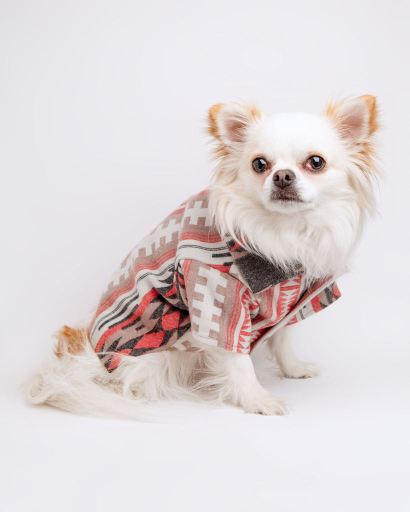 Sahara Flannel (FINAL SALE) Wear Dog Threads   