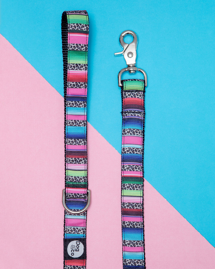 Rainbow Serape + Leopard Dog Leash (Made in NYC) WALK DOG & CO. COLLECTION   