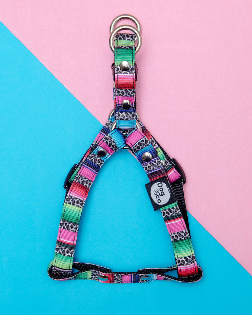 Step-In Dog Harness in Rainbow Serape & Leopard (Made in NYC) WALK DOG & CO. COLLECTION   