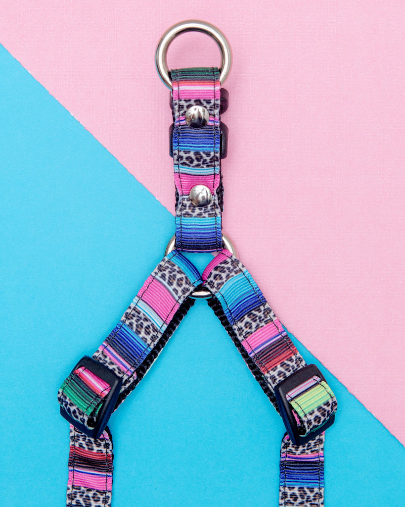 Step-In Dog Harness in Rainbow Serape & Leopard (Made in NYC) WALK DOG & CO. COLLECTION   