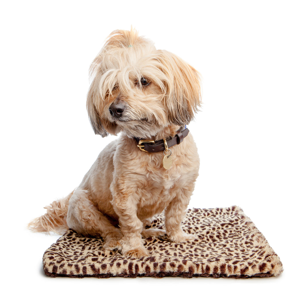 THE DOG SQUAD | Cheetah Blanket Sleep THE DOG SQUAD   