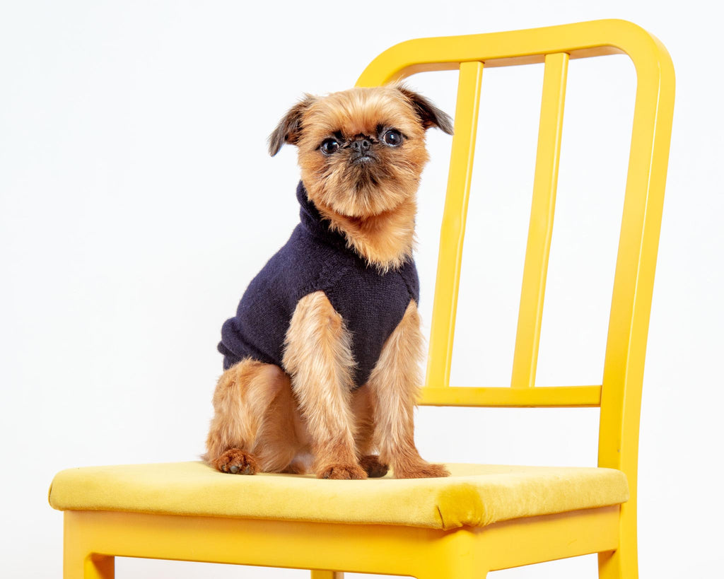 The Marmalady Cashmere Dog Hoodie in Midnight (Made in NYC) (FINAL SALE) Wear DOG & CO. COLLECTION   