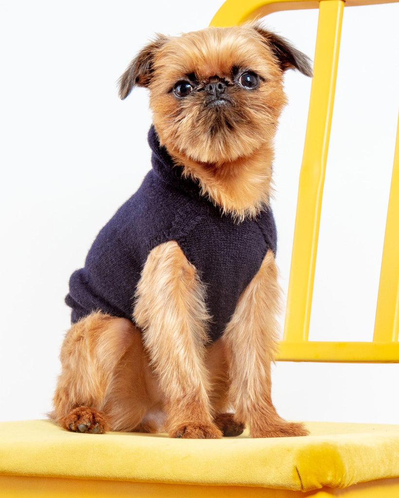 The Marmalady Cashmere Dog Hoodie in Midnight (Made in NYC) (FINAL SALE) Wear DOG & CO. COLLECTION   