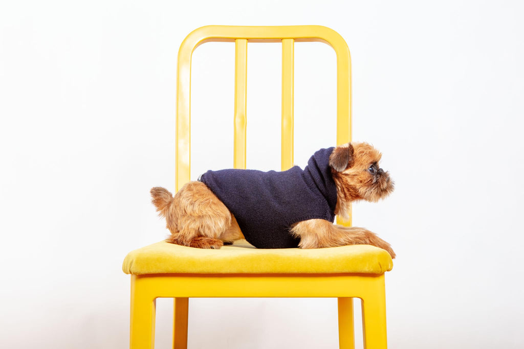 The Marmalady Cashmere Dog Hoodie in Midnight (Made in NYC) (FINAL SALE) Wear DOG & CO. COLLECTION   