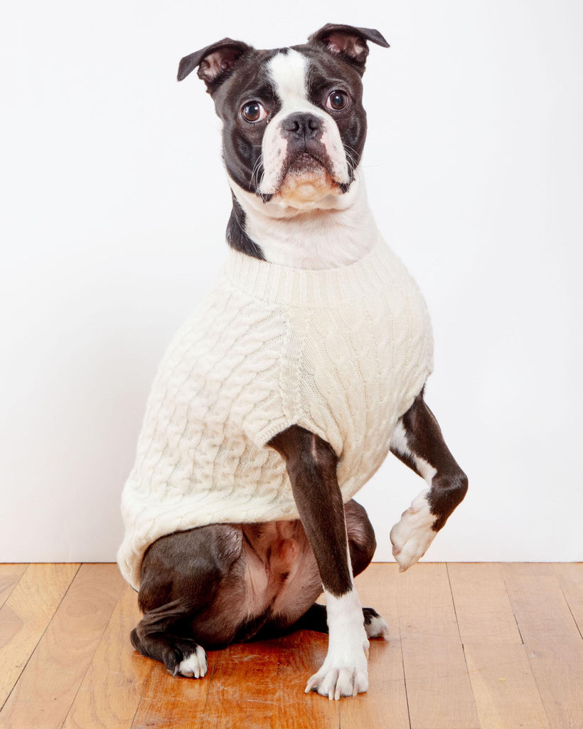 The Uptown Cable Knit Sweater in Natural Cashmere (Made in NYC) (FINAL SALE) Wear DOG & CO. COLLECTION   