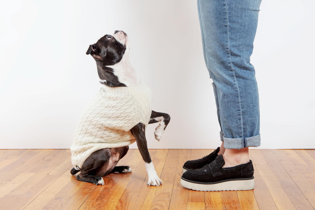 The Uptown Cable Knit Sweater in Natural Cashmere (Made in NYC) (FINAL SALE) Wear DOG & CO. COLLECTION   