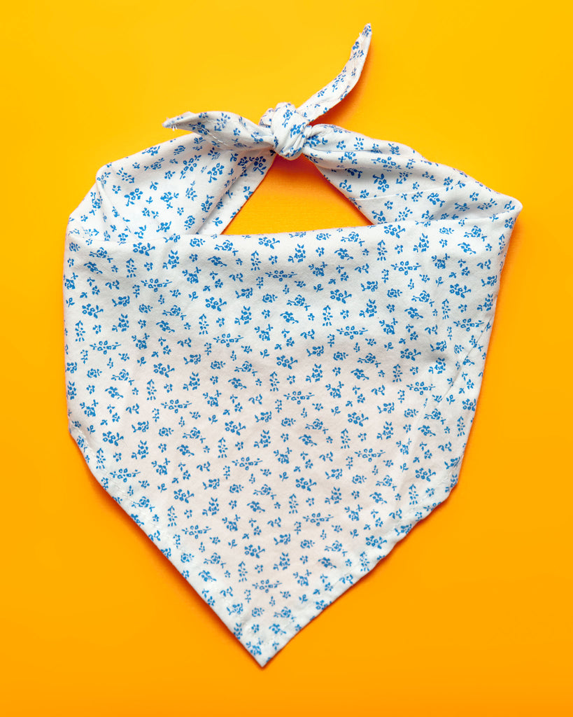 Matching Face Mask & Dog Bandana Set in Tinsel Tartan Wear THRIFT DOG   