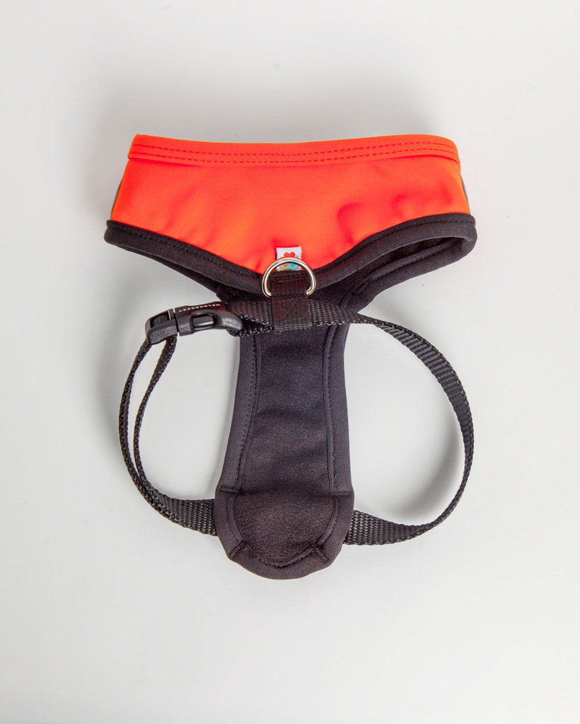 Laguna Harness in Orange (FINAL SALE) WALK WILDEBEEST   