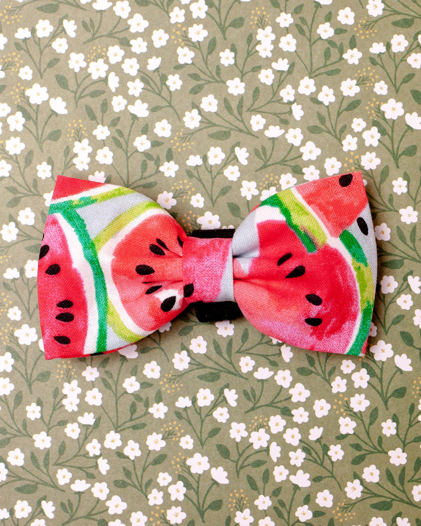 Watermelon Dog Bow Tie<br>(Made in the USA) (FINAL SALE) Wear CHARLOTTE'S PET   