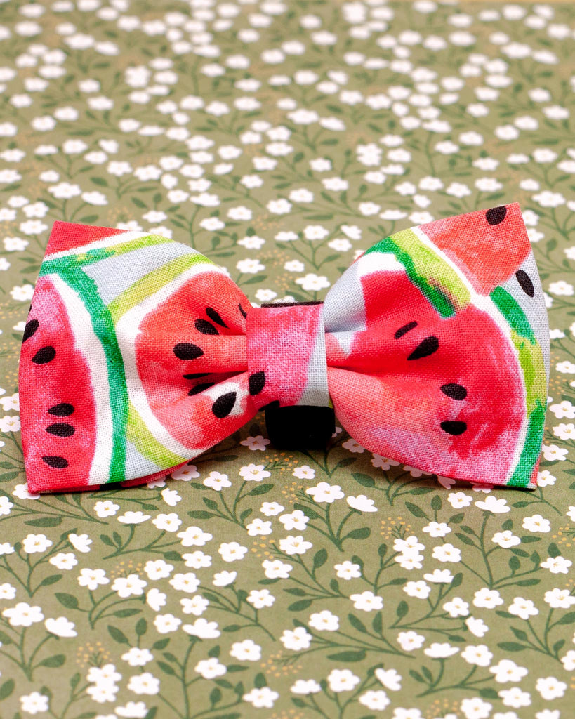 Watermelon Dog Bow Tie<br>(Made in the USA) (FINAL SALE) Wear CHARLOTTE'S PET   