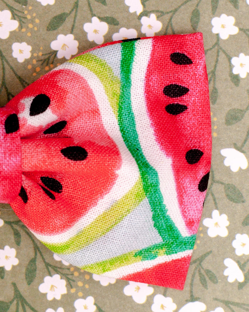 Watermelon Dog Bow Tie<br>(Made in the USA) (FINAL SALE) Wear CHARLOTTE'S PET   