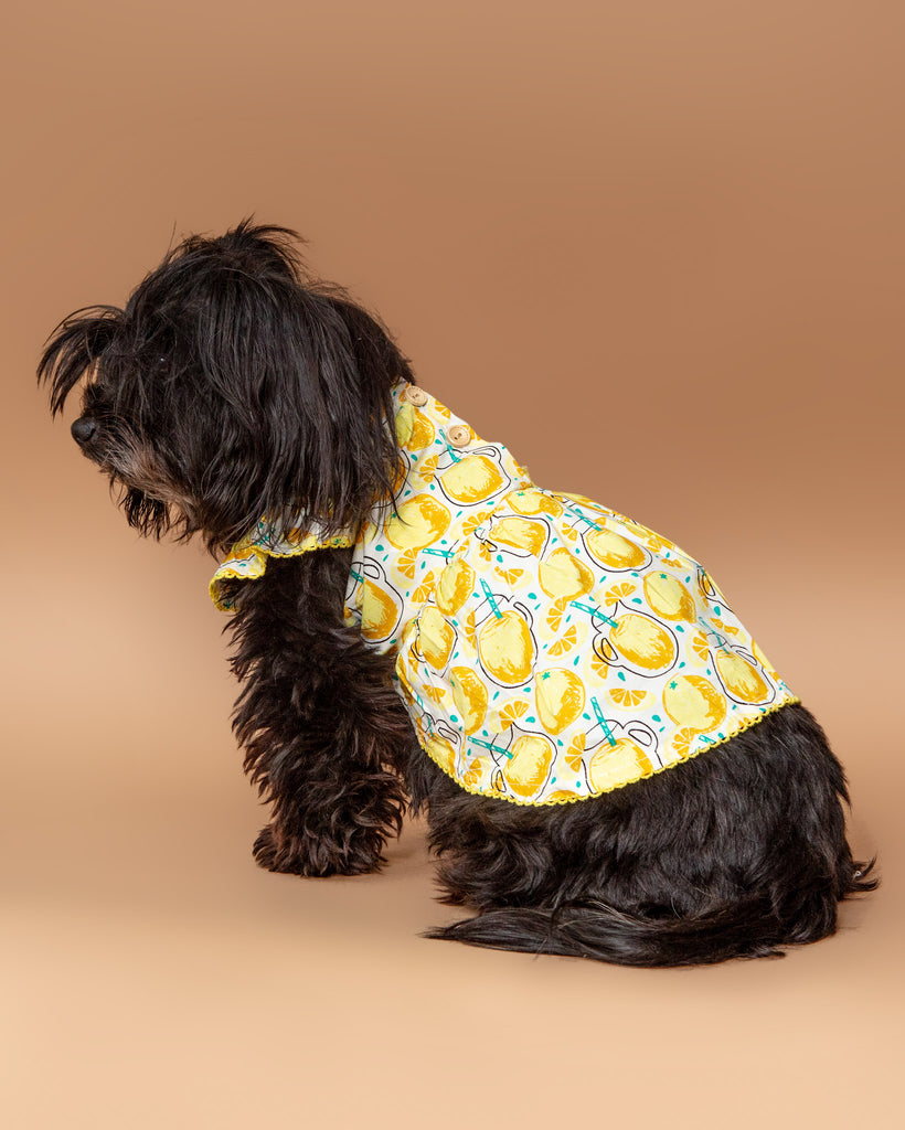 Sweet Lemonade Dress for Dogs << FINAL SALE >> Wear DOGO   