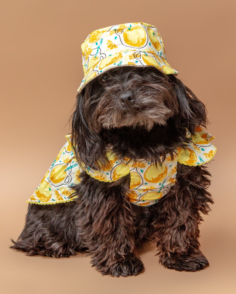 Dog Bucket Hat - Lemonade