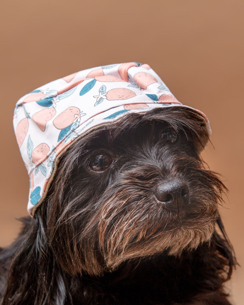 Pink Lemonade Bucket Hat for Dogs << CLEARANCE >> Wear DOGO   
