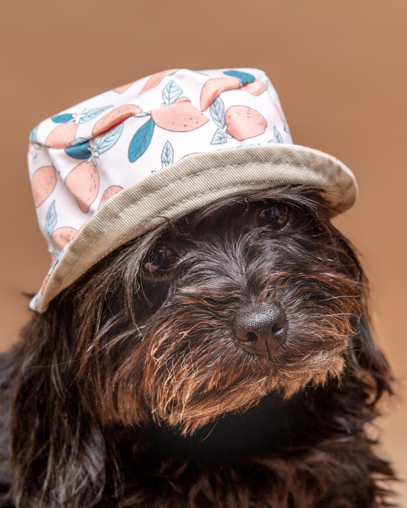 Pink Lemonade Bucket Hat for Dogs << CLEARANCE >> Wear DOGO   