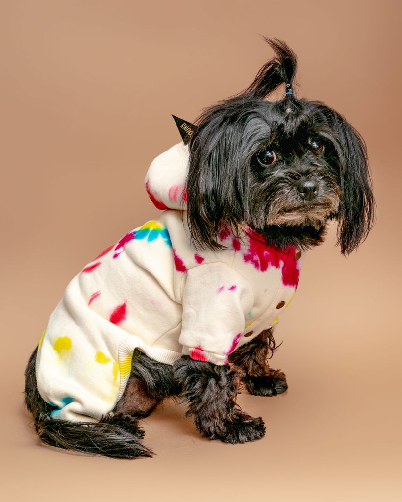 Studio Splatter Dog Onesie in Prismatic << FINAL SALE >> Wear FOUND MY ANIMAL   