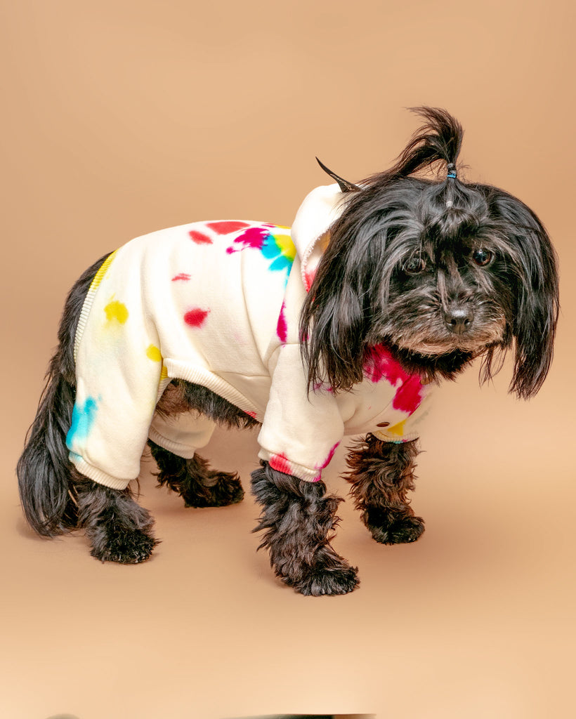 Studio Splatter Dog Onesie in Prismatic << FINAL SALE >> Wear FOUND MY ANIMAL   