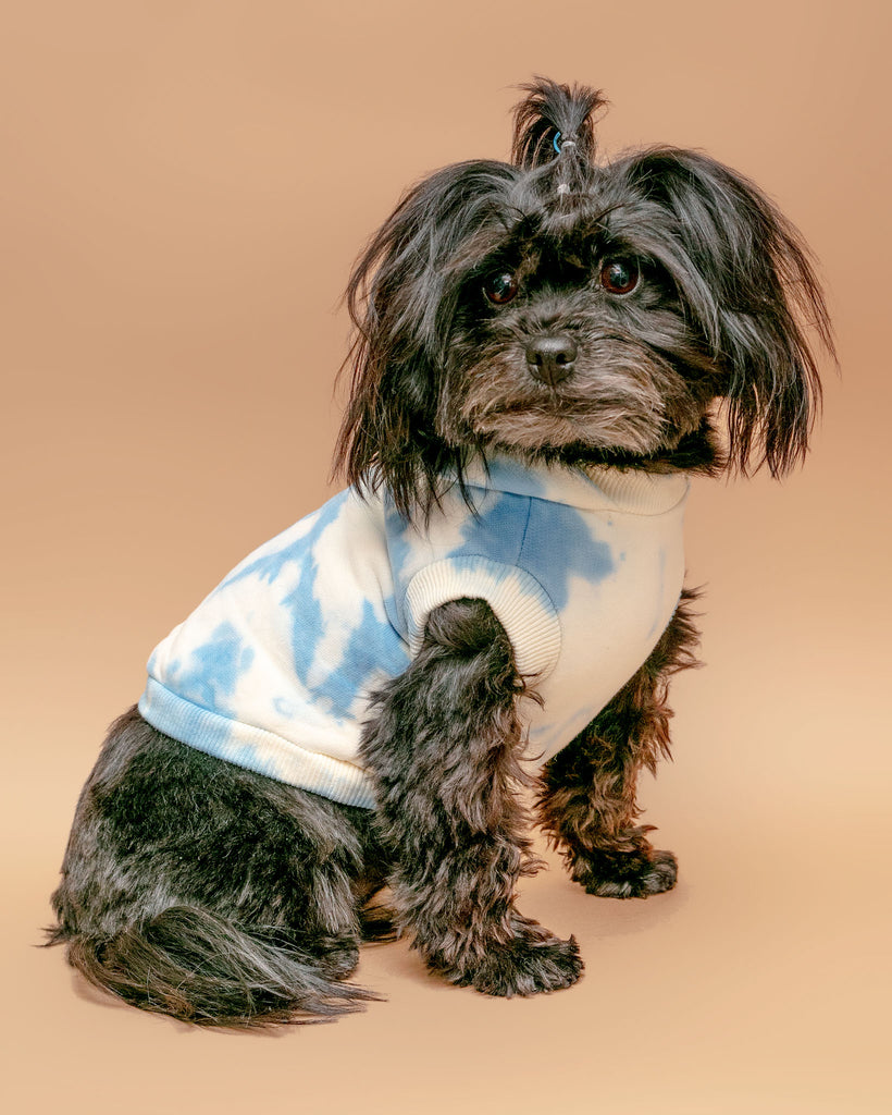 Studio Splatter Dog Sweatshirt in Basic Blue (CLEARANCE) Wear FOUND MY ANIMAL   