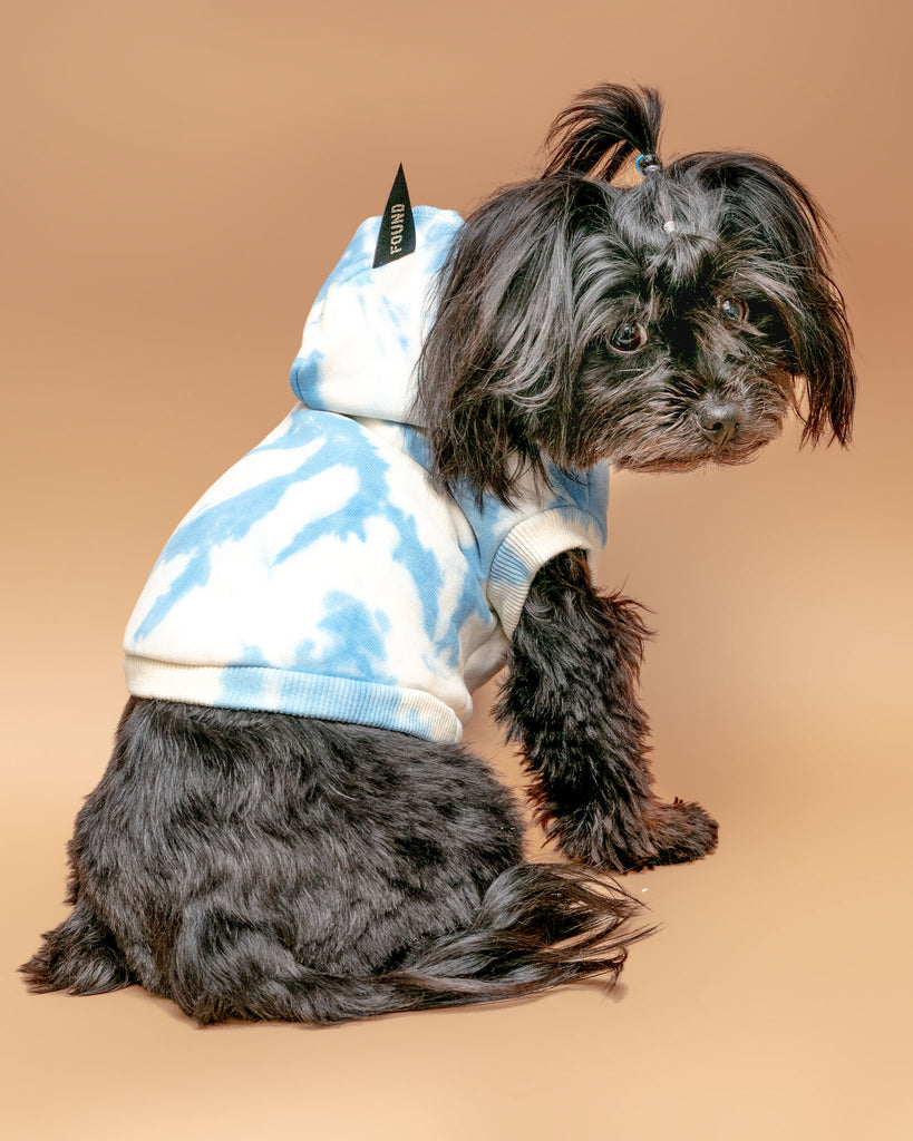 Studio Splatter Dog Sweatshirt in Basic Blue (CLEARANCE) Wear FOUND MY ANIMAL   