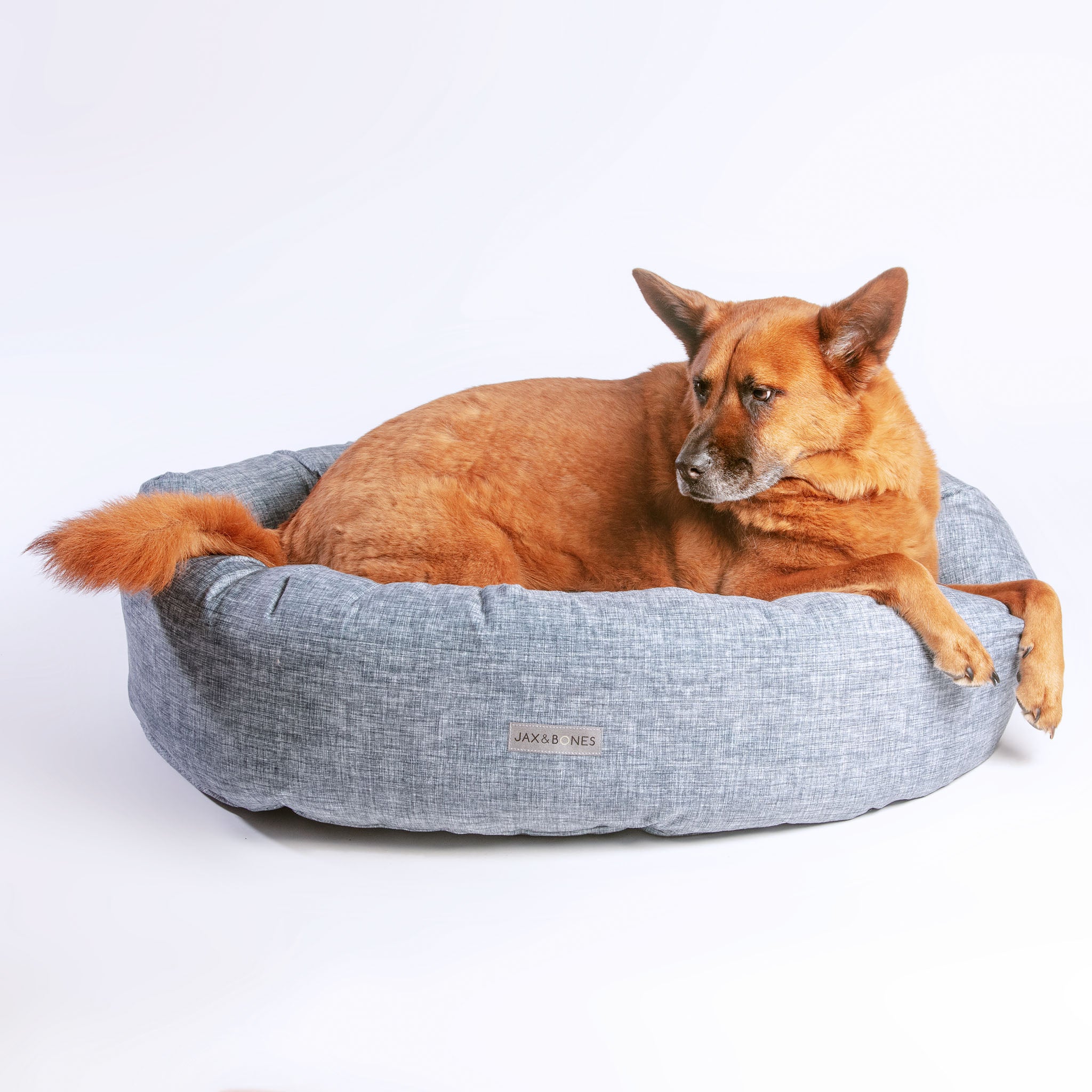 Jax and bones dog bed sale hotsell