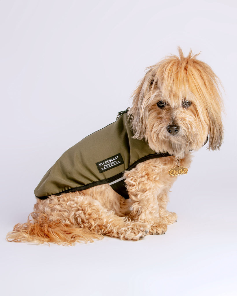 All Weather Jacket in Olive Green (Made in the USA) Wear WILDEBEEST   