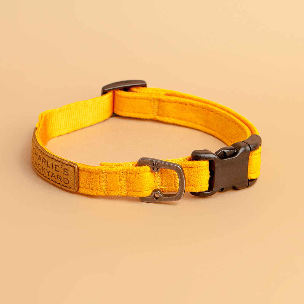 Easy Dog Collar in Yellow WALK CHARLIE'S BACKYARD   