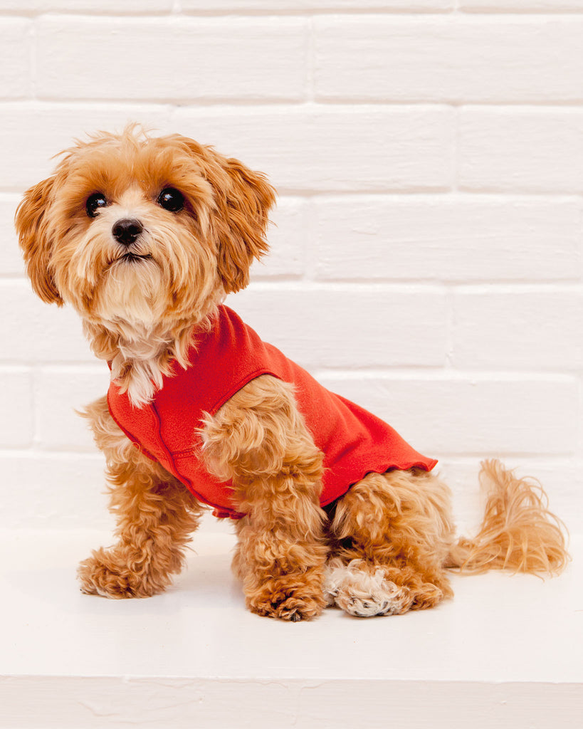 Red Paw Yorkshire Terrier Jacket