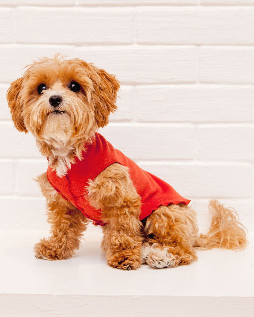 Pullover Stretch Dog Fleece in Paprika Wear GOLD PAW   