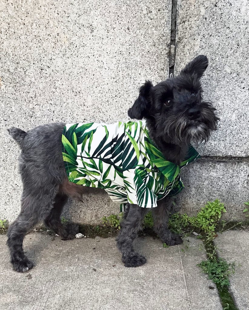 DOG THREADS | Havana Palms BBQ Shirt Apparel DOG THREADS   