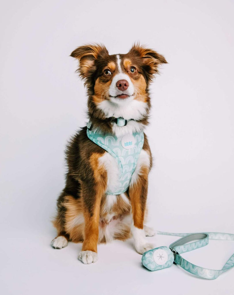 Soft Mesh Dog Harness in Indio Print (CLEARANCE) WALK WEST COAST WAG   