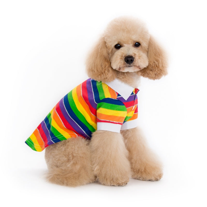 DOGO | Rainbow Polo Apparel DOGO   