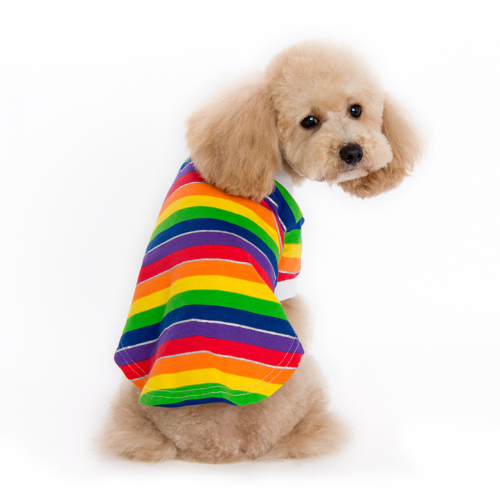 DOGO | Rainbow Polo Apparel DOGO   
