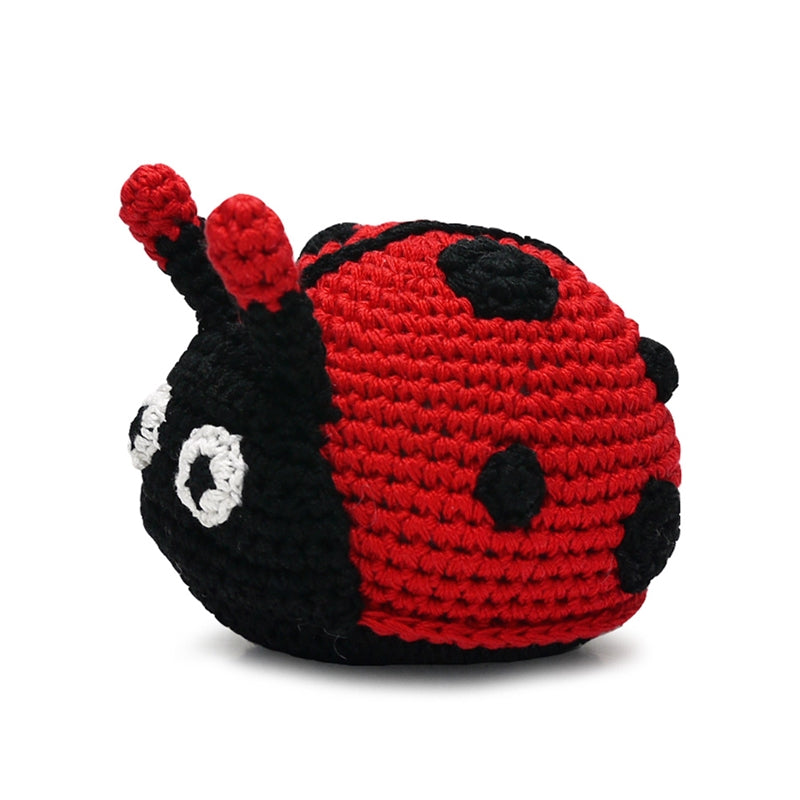 DOGO | Ladybug Squeaky Toy Play DOGO   