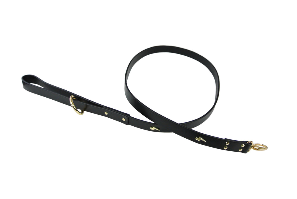 Lightning Bolt Leather Dog Lead << FINAL SALE >> WALK EYE OF DOG   