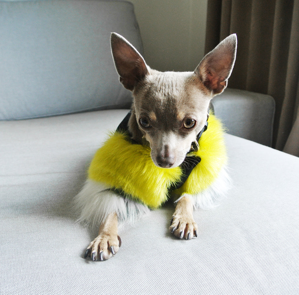 EYE OF DOG | Acid Lime Faux Fur Top Apparel EYE OF DOG   