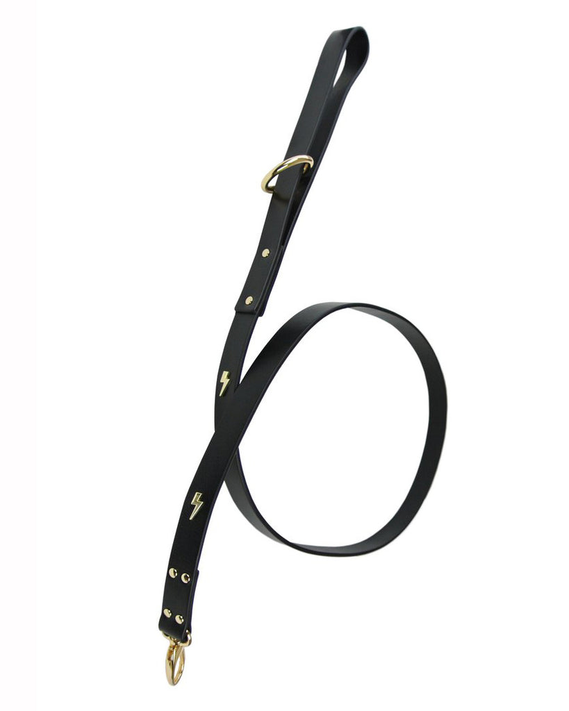 Lightning Bolt Leather Dog Lead << FINAL SALE >> WALK EYE OF DOG   