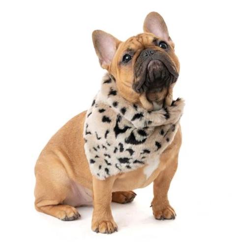 FABULOUS FURS | Dog Bandana in Cheetah a FABULOUS FURS   