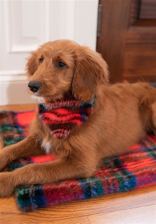 FABULOUS FURS | Pampered Pet Throw in Red Plaid Sleep FABULOUS FURS   