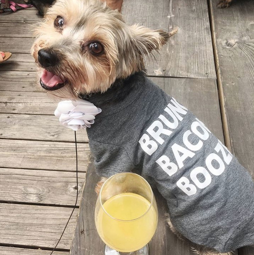 FAB DOG | Brunch Bacon Booze T-Shirt Apparel FAB DOG   