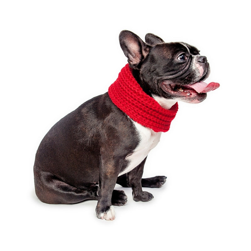 FAB DOG | Infinity Scarf in Red Accessories FAB DOG   